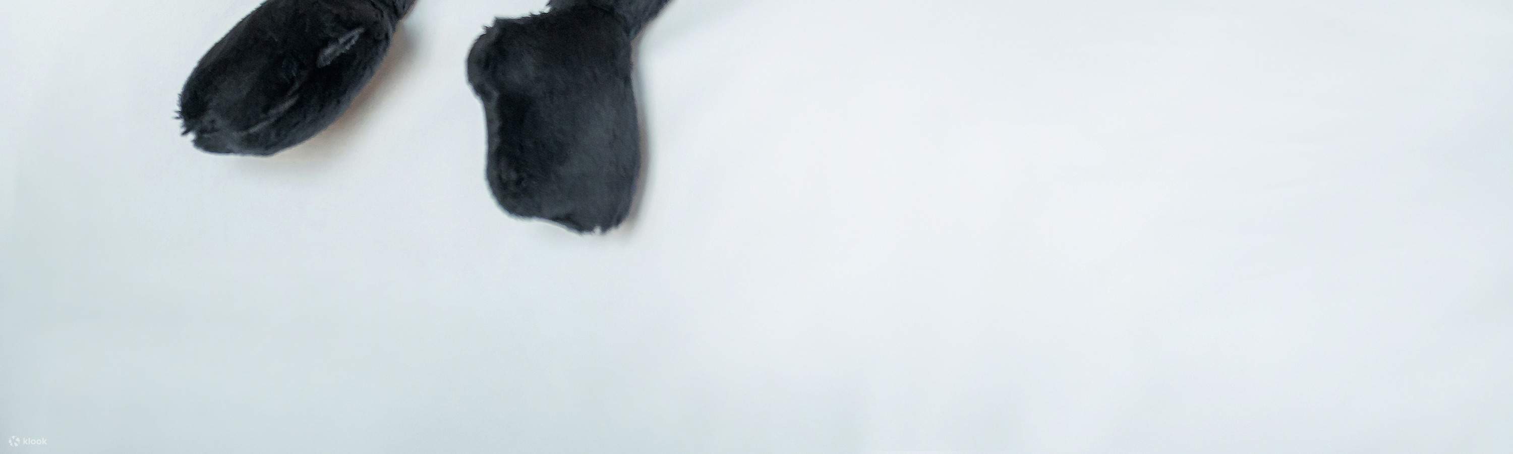 Arrival gift: Black-faced Spoonbill plush toy